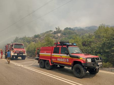 Varios unidades de los bomberos están trabajando para evitar el avance del fuego declarado en la isla griega de Roda