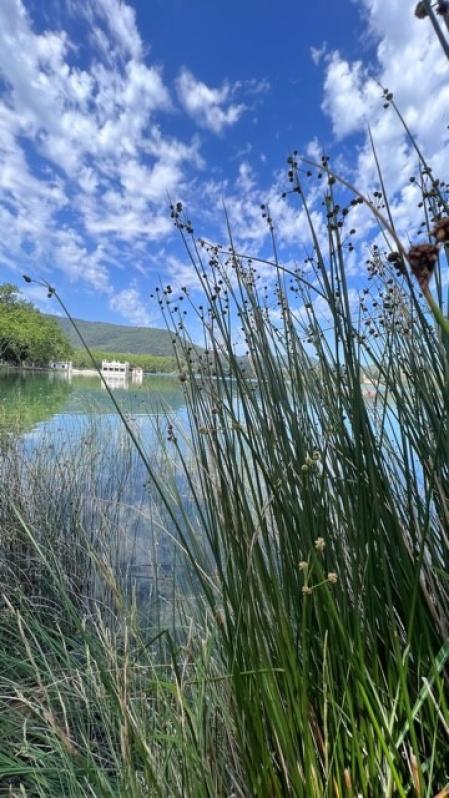 Una pesquera, al fondo, en el lago de Banyoles.