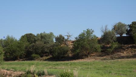 La posición de la paloma señalizada.