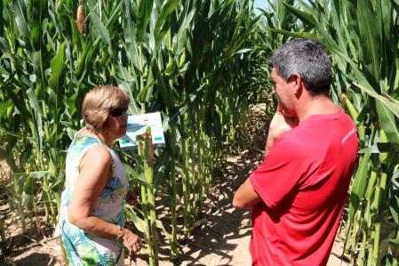 Los visitantes del laberinto tendrán que resolver pruebas.