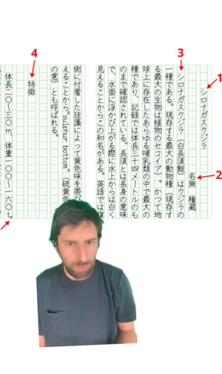 Una muestra escrita de los kanji, el formato más recurrente en Japón