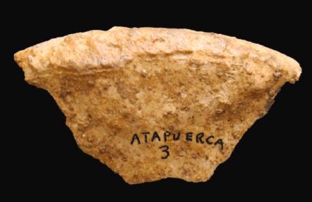 Cresta ilíaca del esqueleto de uno de los individuos recuperado de la Galería del Sílex