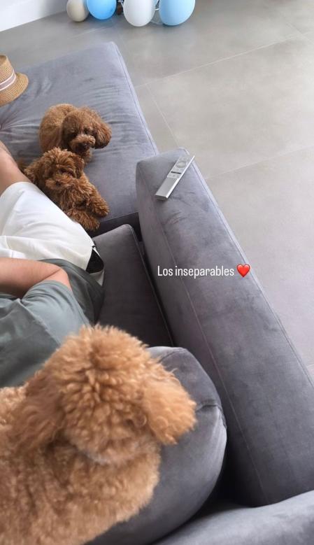 Los perros de Sergio Rico no se separan de él