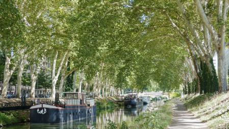 Canal du Midi en Toulouse