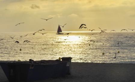 Amanecer calimoso en Fuengirola.