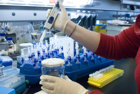 Investigación en el Centro Nacional de Investigaciones Cardiovasculares