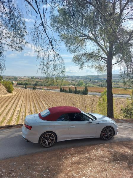 La combinación del color de carrocería y de la capota permite disfrutar de resultados visualmente muy atractivos&nbsp;