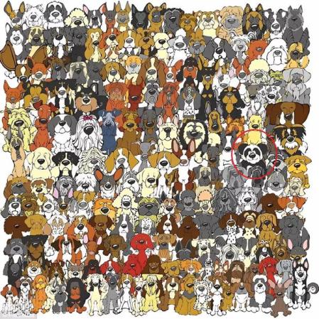 La solución al desafío