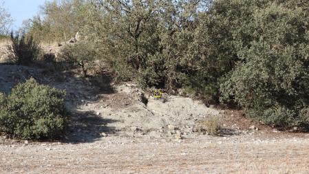 Solución al Reto visual del conejo.