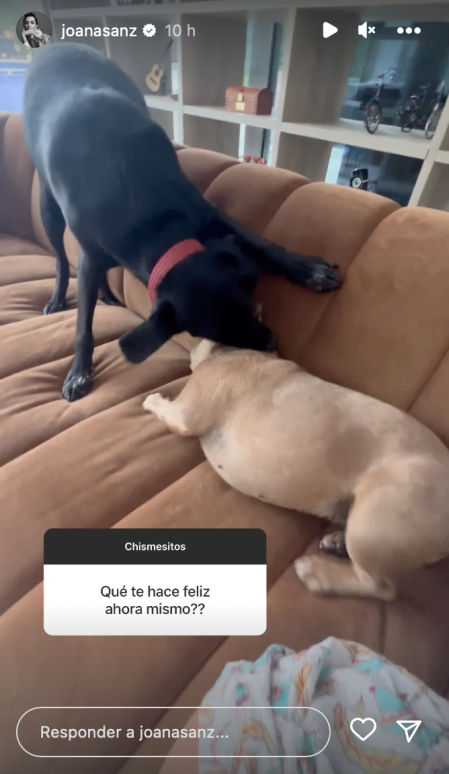 Joana Sanz vida sentimental