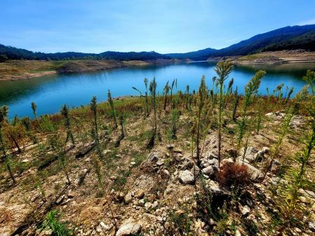 Vista del pantano de Darnius Boadella.