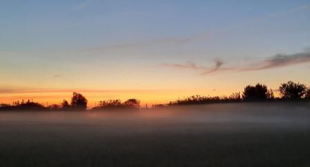 La niebla costera en los campos de Gavà.