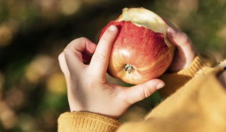 La fruta es saludable en cualquier momento del día
