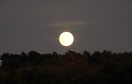 Luna llena en el Lluçanès.