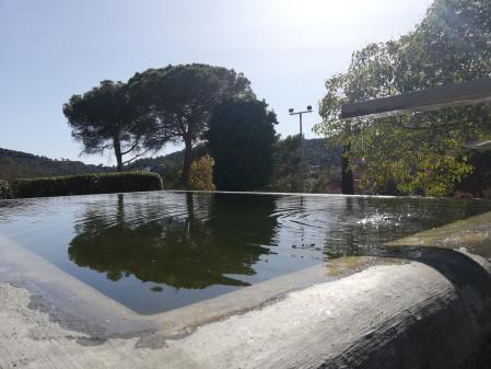 La misma fuente de Collserola hace 7 meses, pero con agua.