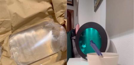 El medusario de un internauta (TikTok / sharkbarbiie)