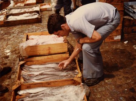 Revisando el producto llegado al Mercat del Peix