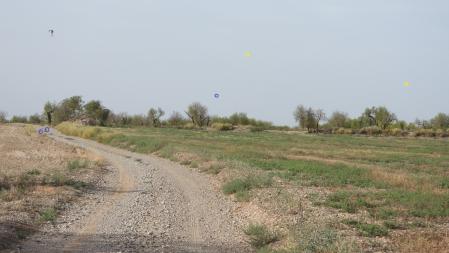 Solución al Reto visual.