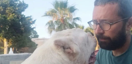 La emotiva despedida de un veterinario de Eivissa a Zeus, un perro que llevaba ocho años ingresado
