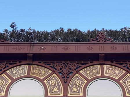 Plantas en el tejado del mercado de Sant Antoni.
