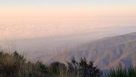 Las nieblas en el Turó de l'Home.