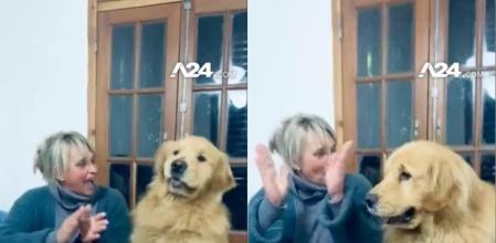 Una familia celebra el cumpleaños de su golden retriever<br>(X / A24)<br>