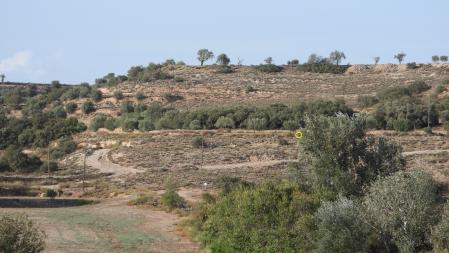 La posición del aguilucho aparece señalizada.