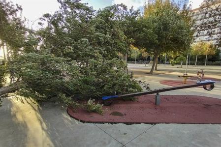 Un árbol cae sobre un balancín en un parque infantil de Almería.