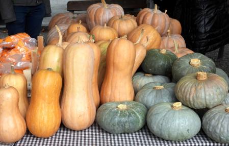 Calabazas expuestas en XII Fira de la Carbassa a Sant Joan de les Abadesses.