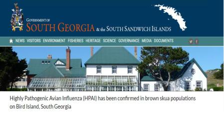 Comunicado de la autoridad local sobre el brote de gripe aviar