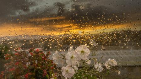 Gotas de lluvia en un cristal.