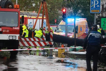 Una mujer fallecida por la caída de un árbol en la calle Almagro, en Madrid.