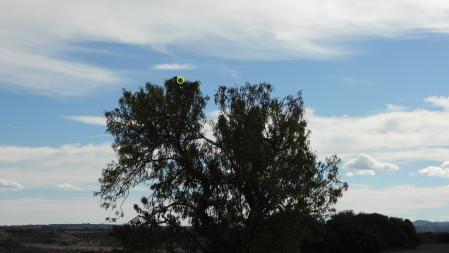 Solución al Reto visual.