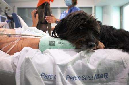 Vida (al fondo se ve parcialmente a Lu), en la uci