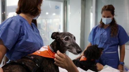 Su visita reduce la ansiedad de los pacientes