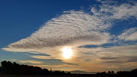 Nube con forma de pájaro.