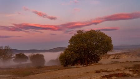 Amanecer con niebla y nubes lenticulares en Manlleu.