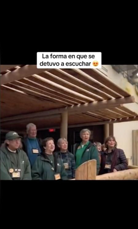 Una jirafa celebra su cumpleaños con los cuidadores cantándole