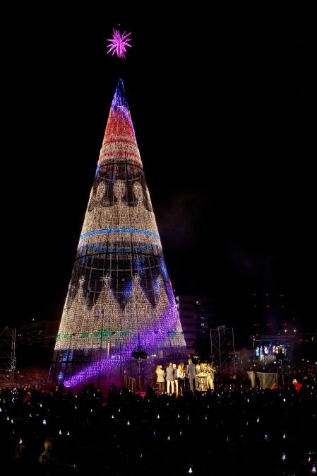 arbol badalona OPINION