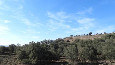 Paisajes del Urgell.