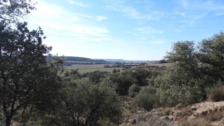 Paisajes del Urgell.