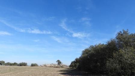 Paisajes del Urgell.