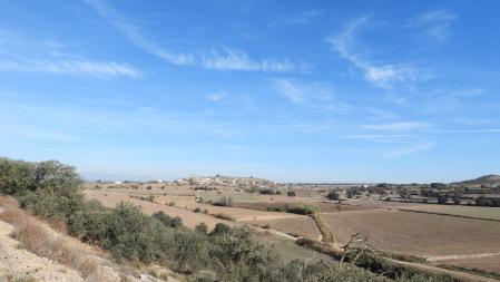 Paisajes del Urgell.