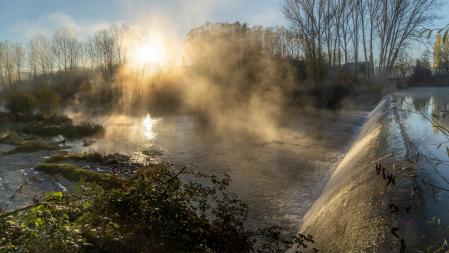 Humo ártico en el Ter.