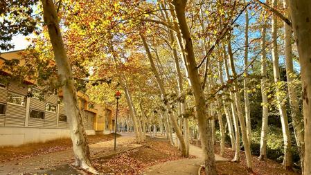 Otoño en el  Passeig del Pertegàs de Sant Celoni.