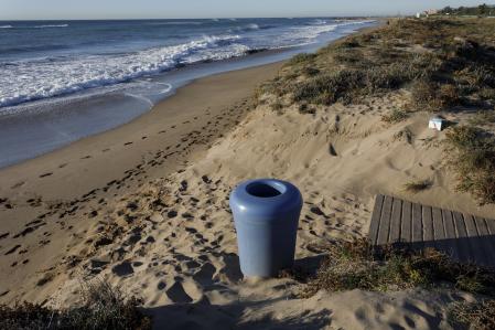 La playa de la Murtra i la Pineda