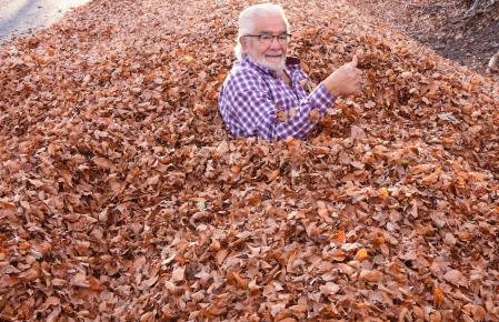 Sepultado en las hojas.