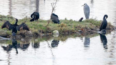 Amanecer con heladas en Manlleu.