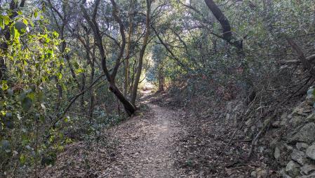 La Fuente de la Dinamita de Sant Fost de Campsentelles.