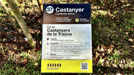 Exposición 'Tals pares, tals fills' en Sant Celoni.